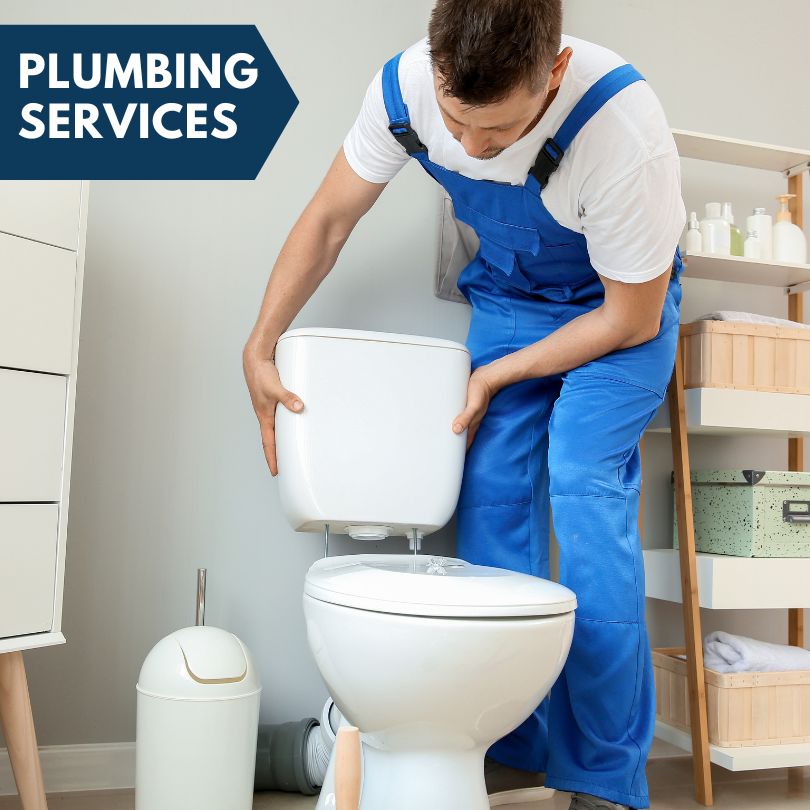 Plumbing Company in Fremont Center, NY